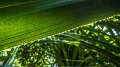 P1180706 2-1